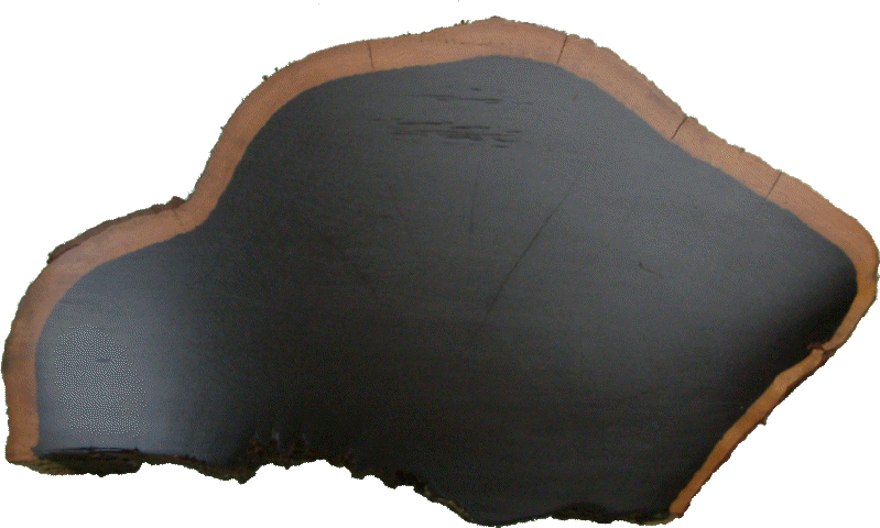 Image of African Blackwood Slice